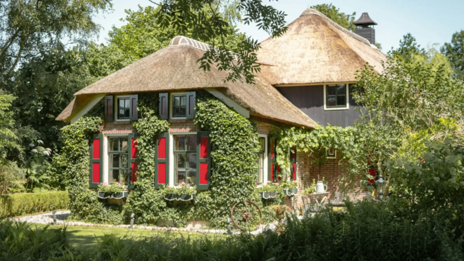 Boerderijwoning met rieten dak, rode luiken en een begroeide gevel tussen het groen